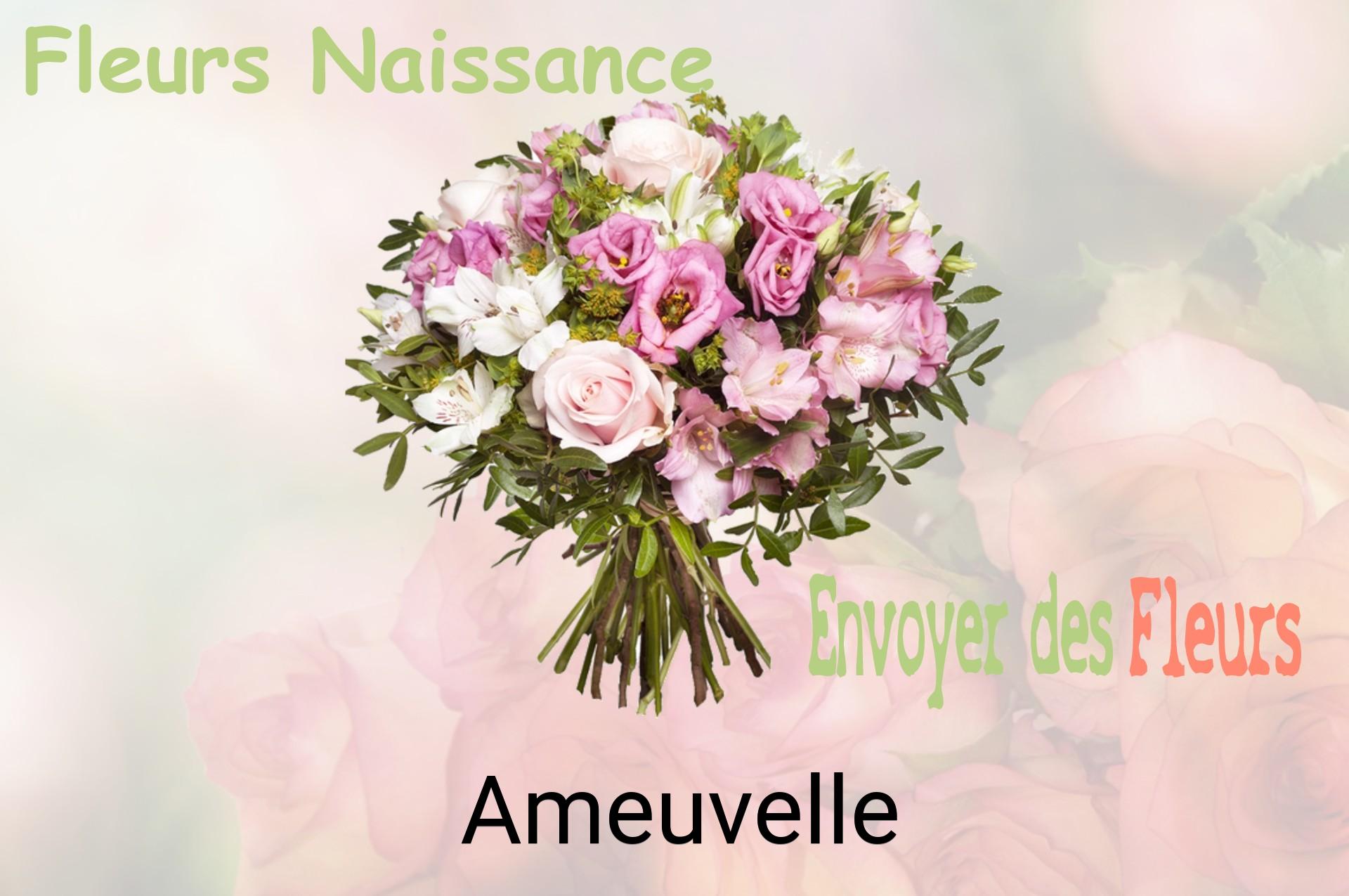 Bouquet de fleurs de naissance livré à Ameuvelle